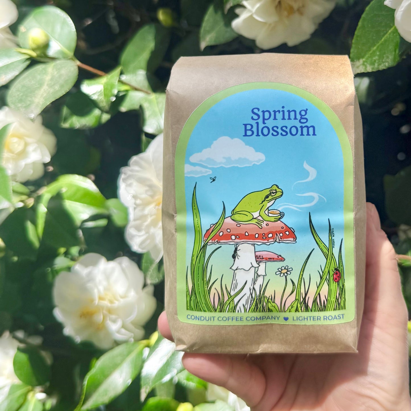 Spring Blossom